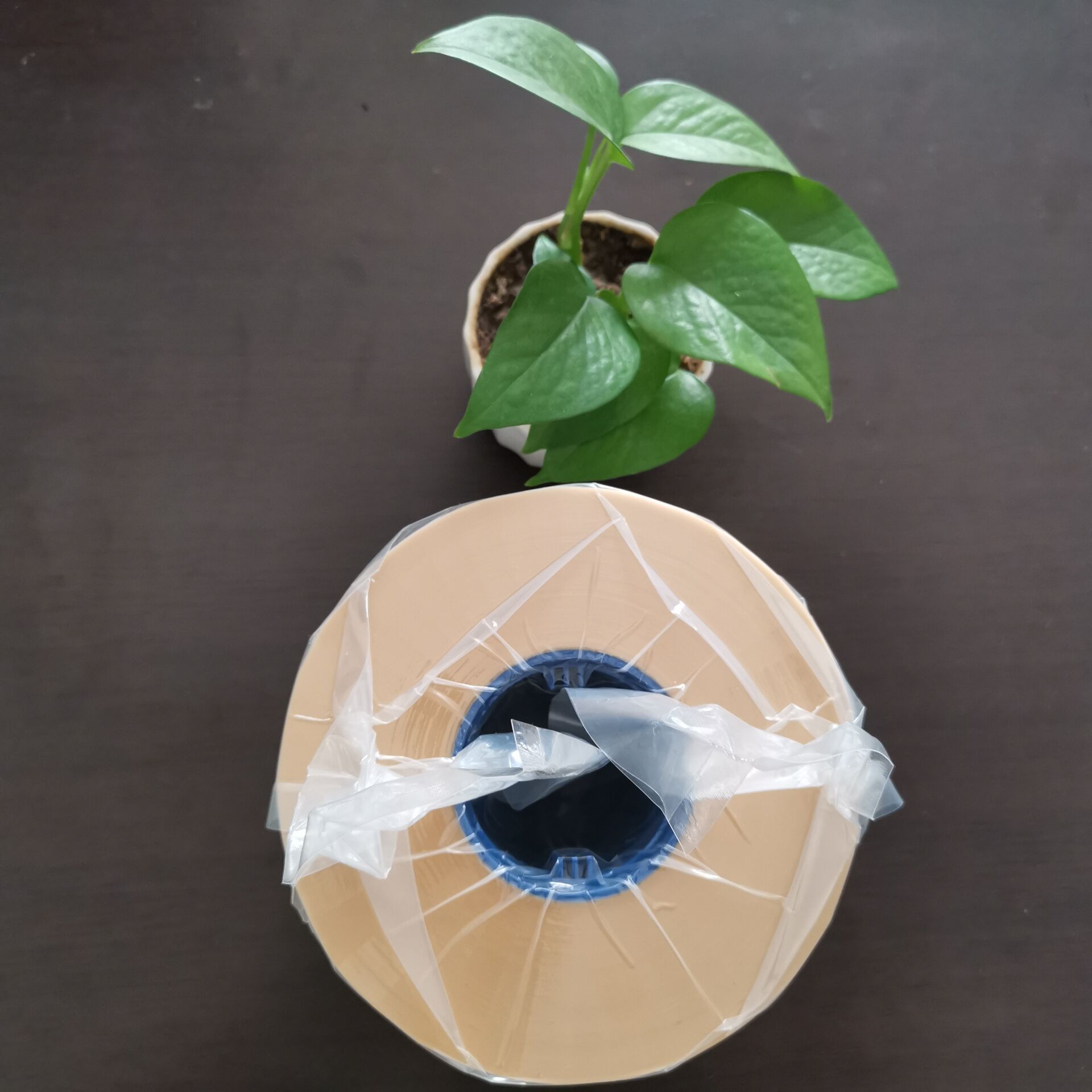 <b>對(duì)賽璐玢藥品包裝膜進(jìn)行透氣性測(cè)試的解析說(shuō)明</b>