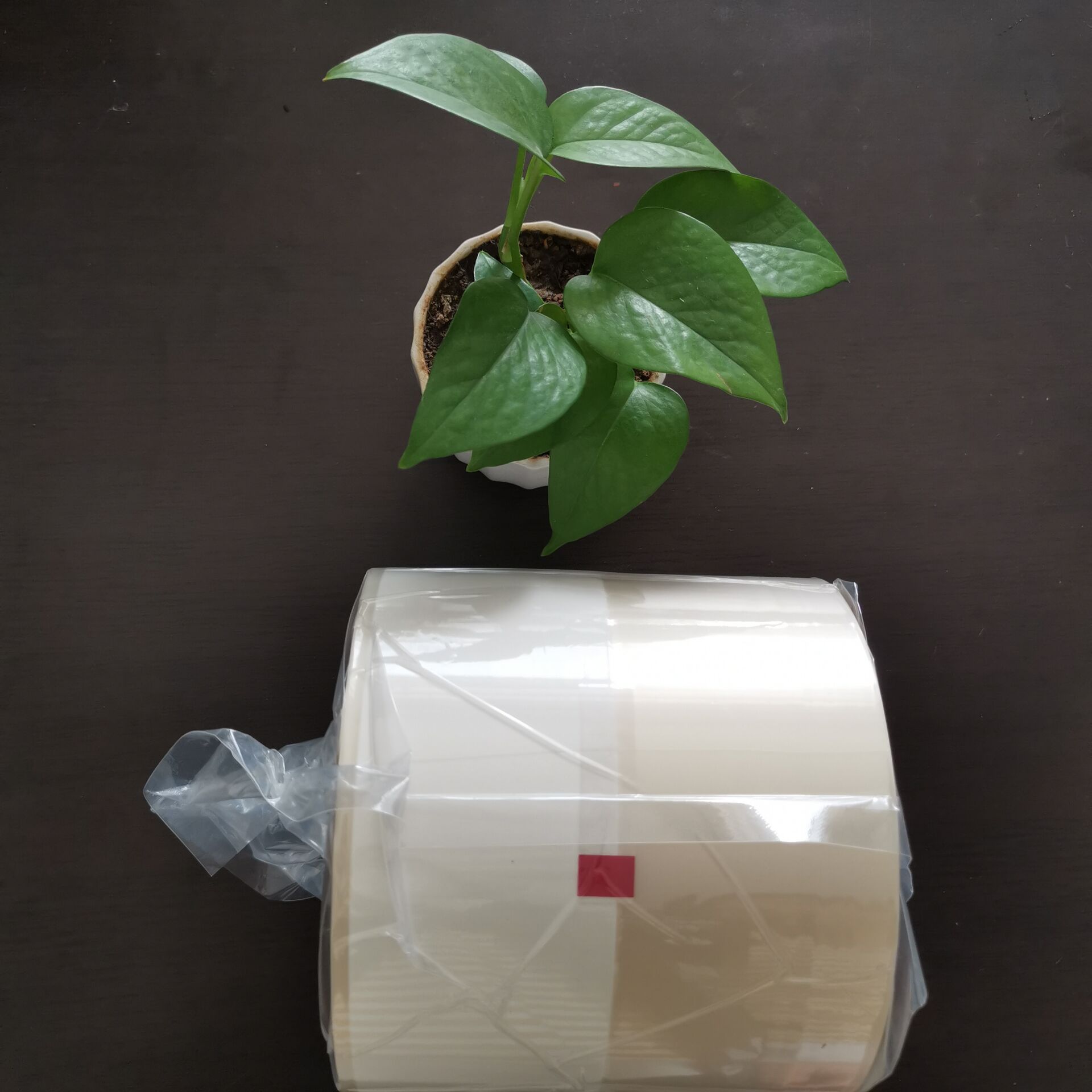 <b>分析環(huán)境溫濕度對玻璃紙藥品包裝膜的影響因素</b>